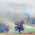 Lone Oak