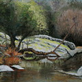 River Reflections